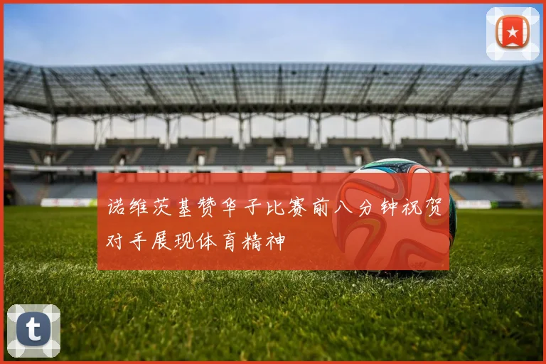 诺维茨基赞华子比赛前八分钟祝贺对手展现体育精神