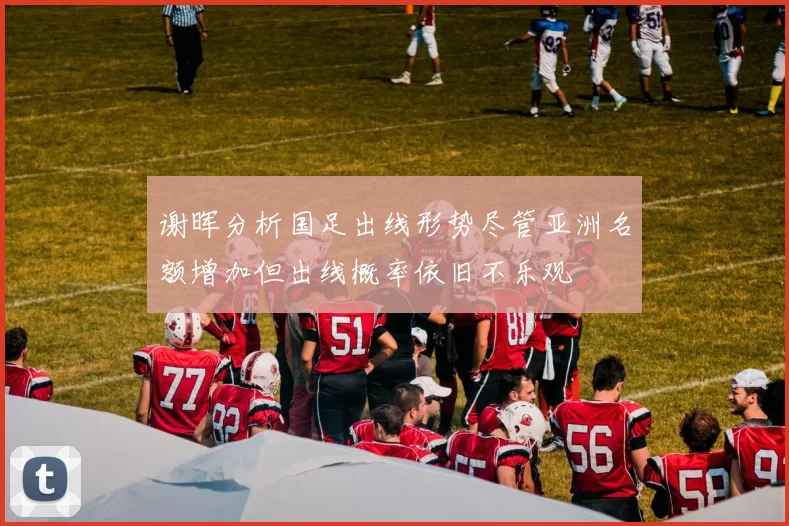 谢晖分析国足出线形势尽管亚洲名额增加但出线概率依旧不乐观